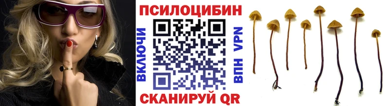 Галлюциногенные грибы Magic Shrooms  хочу наркоту  Ак-Довурак 